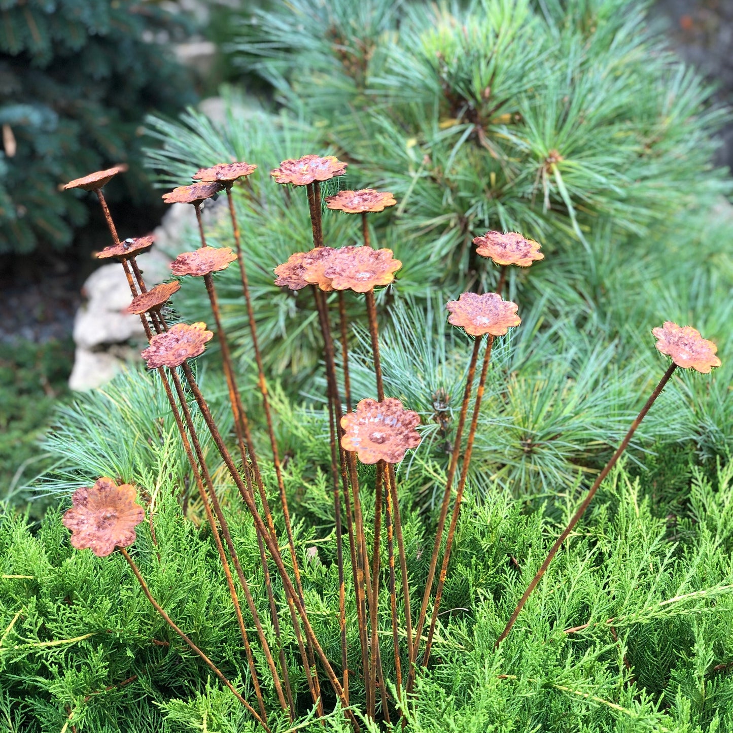 Rusty flowers set of 20, Flowers garden decor, Metal garden decor, metal yard art, outdoor metal decor, Rusty metal garden decor