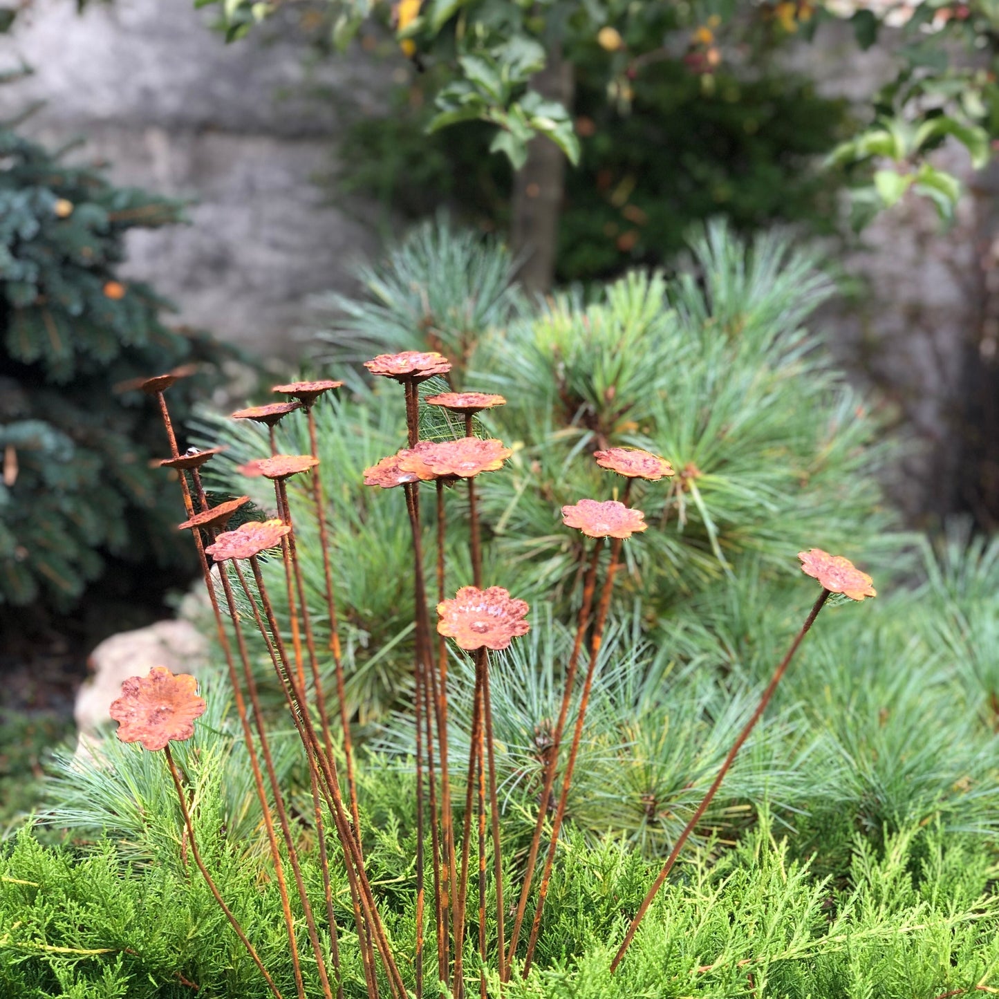 Rusty flowers set of 20, Flowers garden decor, Metal garden decor, metal yard art, outdoor metal decor, Rusty metal garden decor