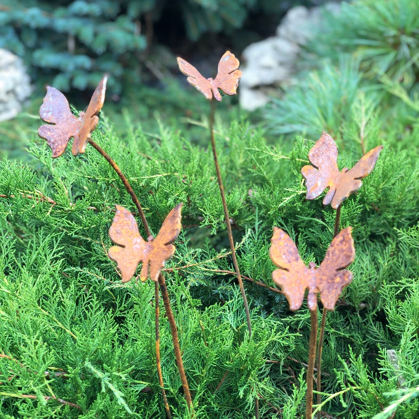 Rusty butterflies set of 5, 5 Rusty butterflies garden stakes, Metal garden decor, metal yard art, outdoor metal decor