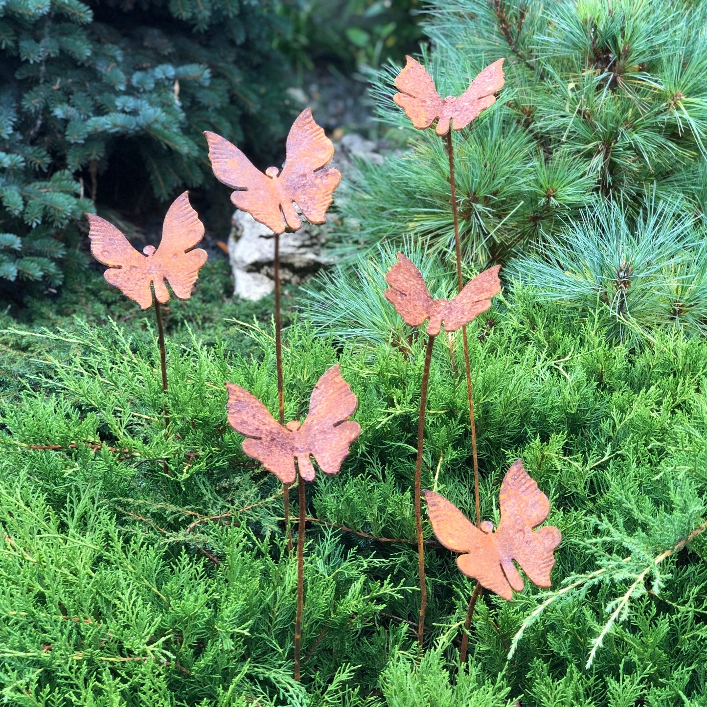 Rusty butterflies set of 6, 6 Rusty butterflies garden stakes, Metal garden decor, metal yard art, outdoor metal decor