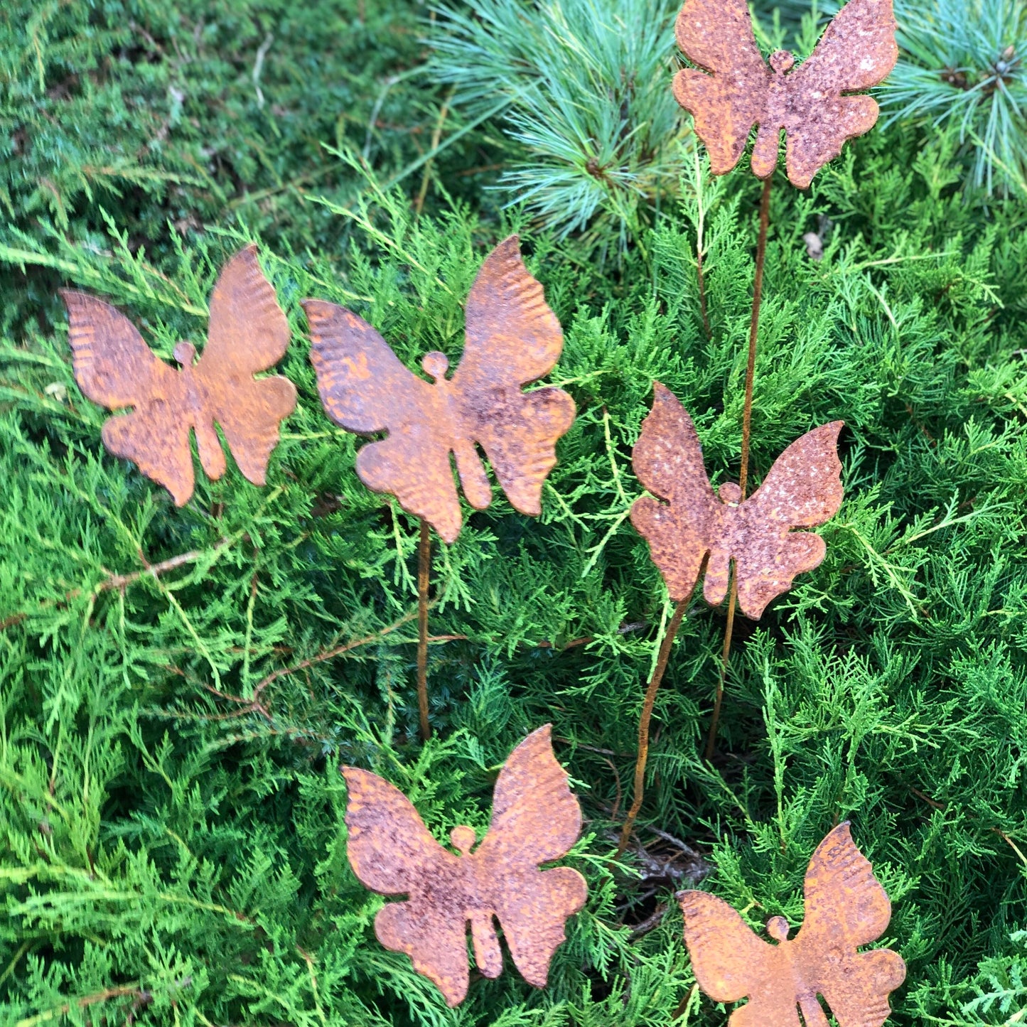 Rusty butterflies set of 6, 6 Rusty butterflies garden stakes, Metal garden decor, metal yard art, outdoor metal decor