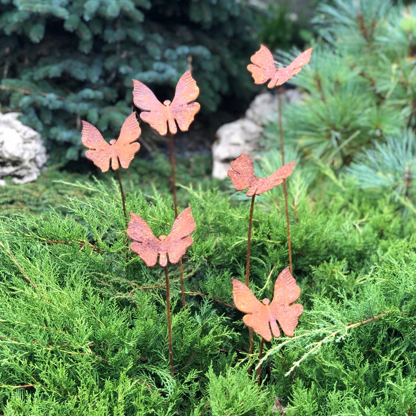 Rusty butterflies set of 6, 6 Rusty butterflies garden stakes, Metal garden decor, metal yard art, outdoor metal decor