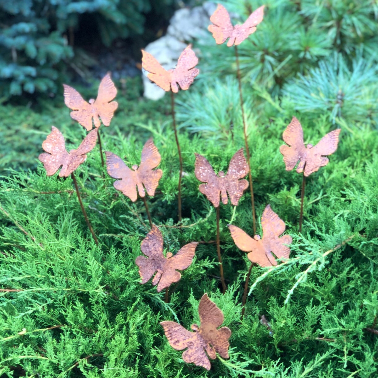 Rusty butterflies set of 10, 10 Rusty butterflies garden stakes, Metal garden decor, metal yard art, outdoor metal decor