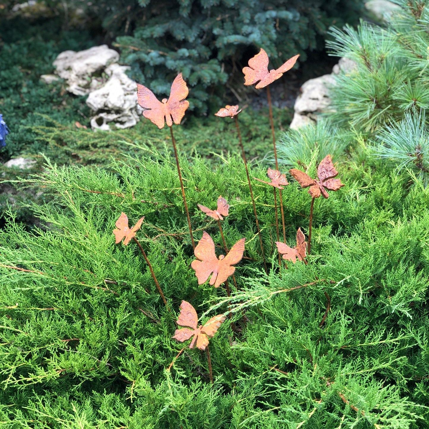 Rusty butterflies set of 10, 10 Rusty butterflies garden stakes, Metal garden decor, metal yard art, outdoor metal decor, gift for gardener