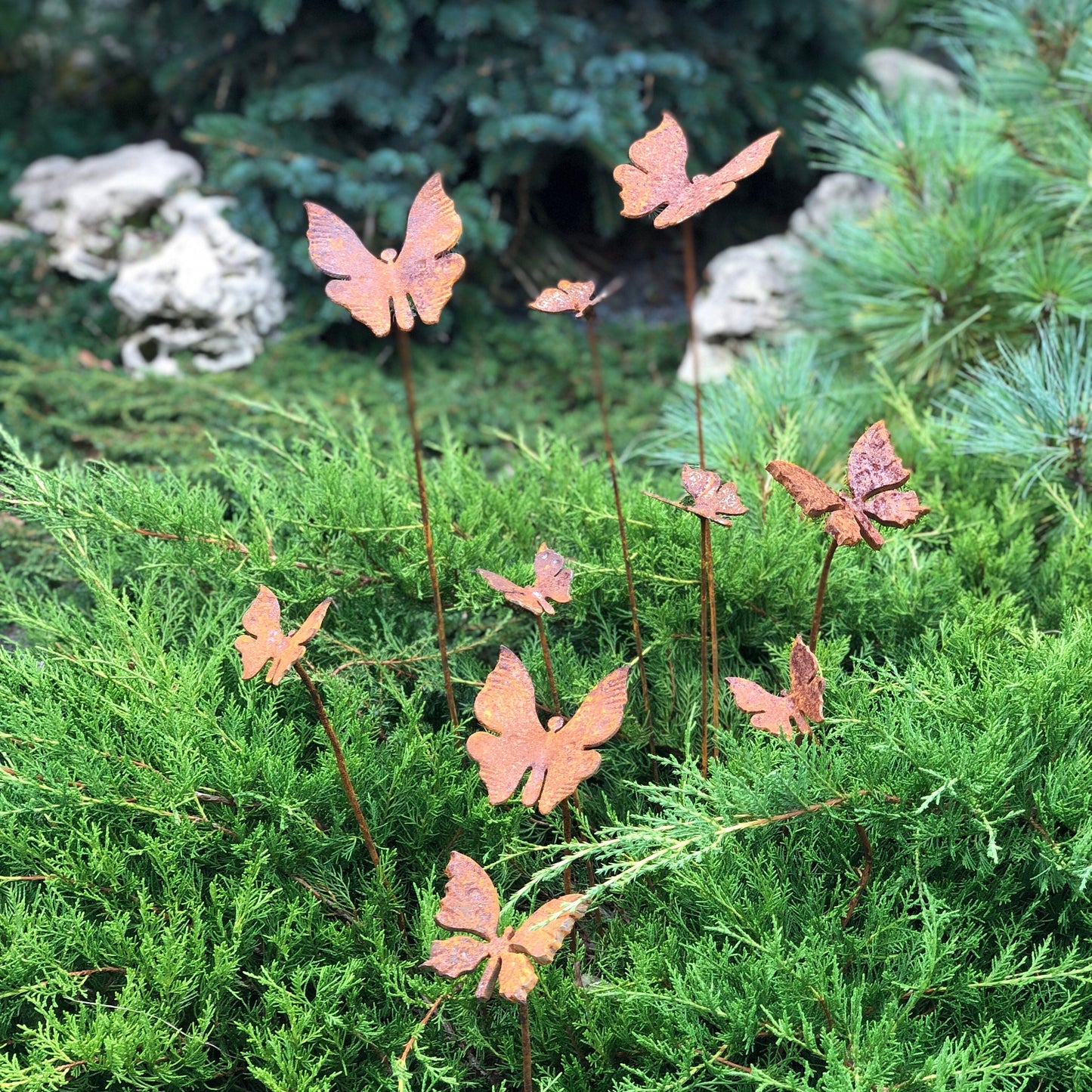 Rusty butterflies set of 10, 10 Rusty butterflies garden stakes, Metal garden decor, metal yard art, outdoor metal decor, gift for gardener