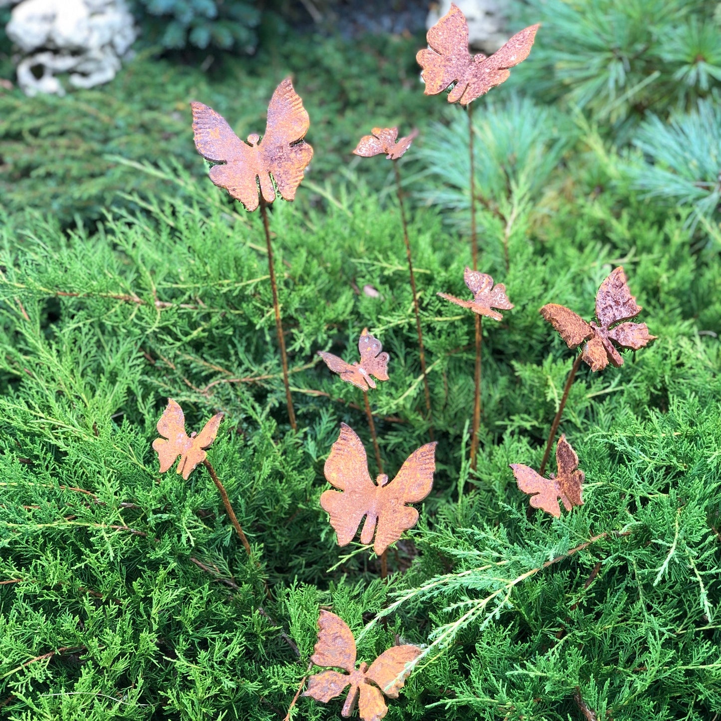 Rusty butterflies set of 10, 10 Rusty butterflies garden stakes, Metal garden decor, metal yard art, outdoor metal decor, gift for gardener