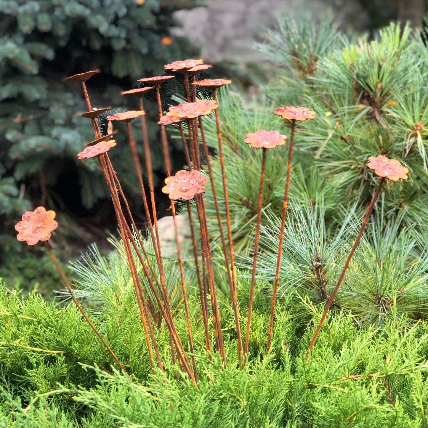 Rusty flowers set of 20, Flowers garden decor, Metal garden decor, metal yard art, outdoor metal decor, Rusty metal garden decor