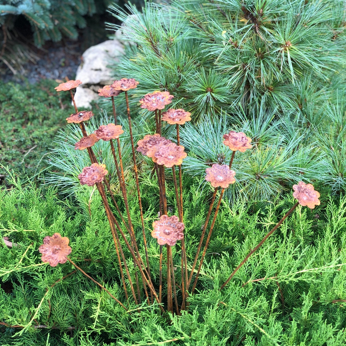 Rusty flowers set of 20, Flowers garden decor, Metal garden decor, metal yard art, outdoor metal decor, Rusty metal garden decor