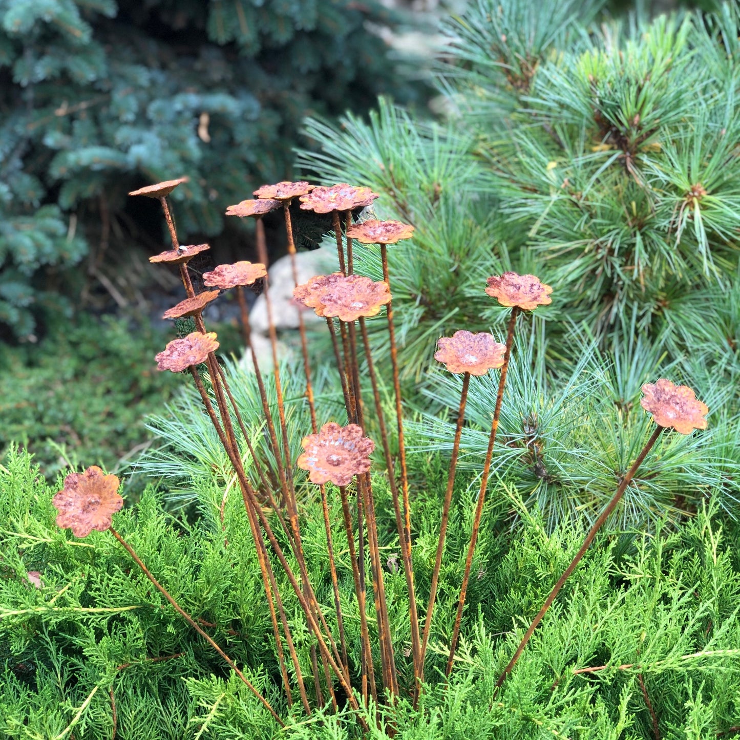 Rusty flowers set of 20, Flowers garden decor, Metal garden decor, metal yard art, outdoor metal decor, Rusty metal garden decor