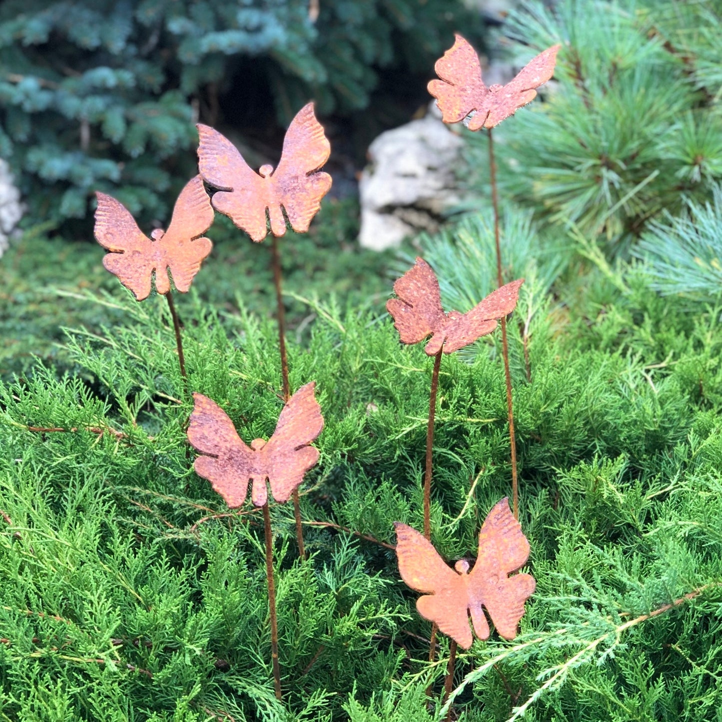 Rusty butterflies set of 6, 6 Rusty butterflies garden stakes, Metal garden decor, metal yard art, outdoor metal decor