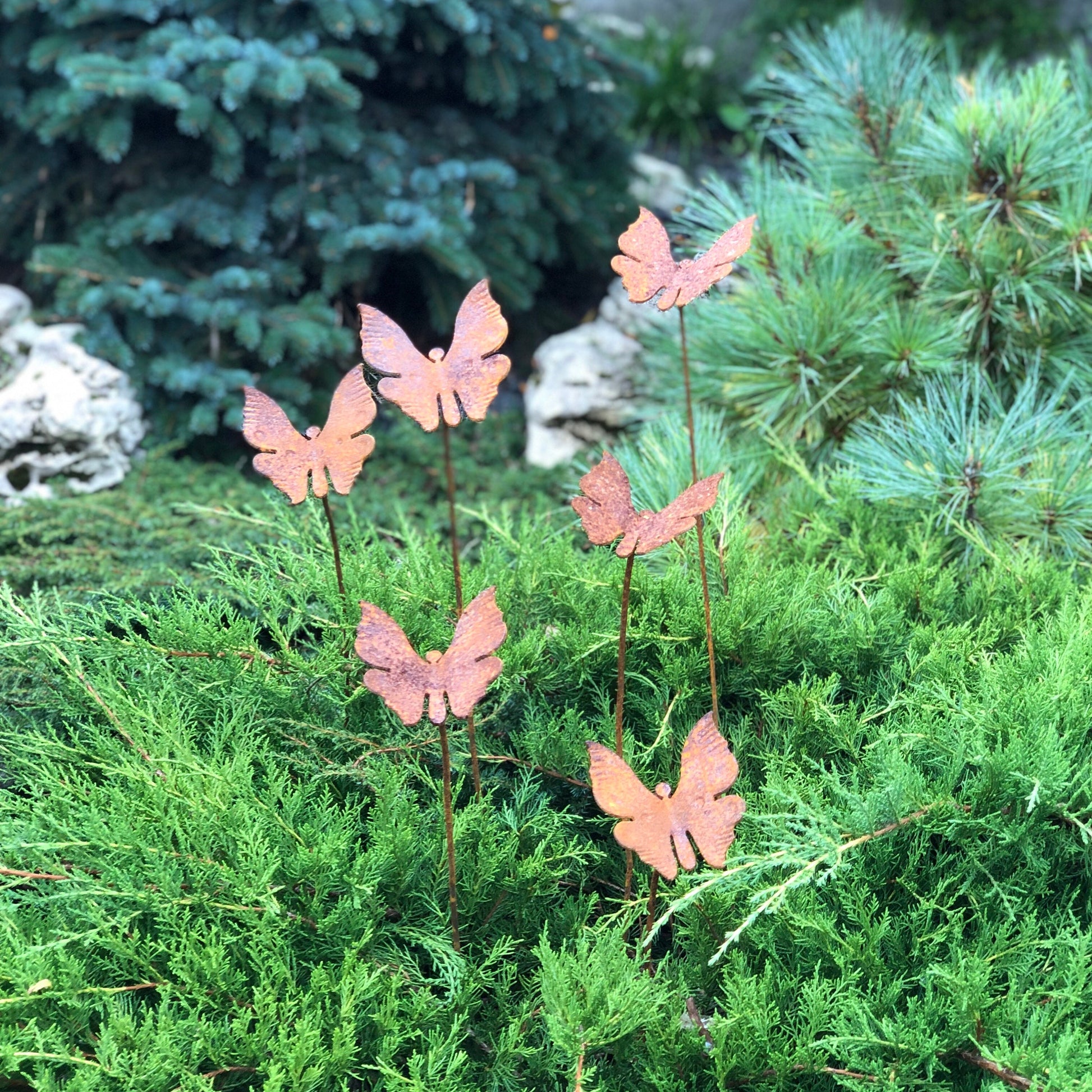 Rusty butterflies set of 6, 6 Rusty butterflies garden stakes, Metal garden decor, metal yard art, outdoor metal decor