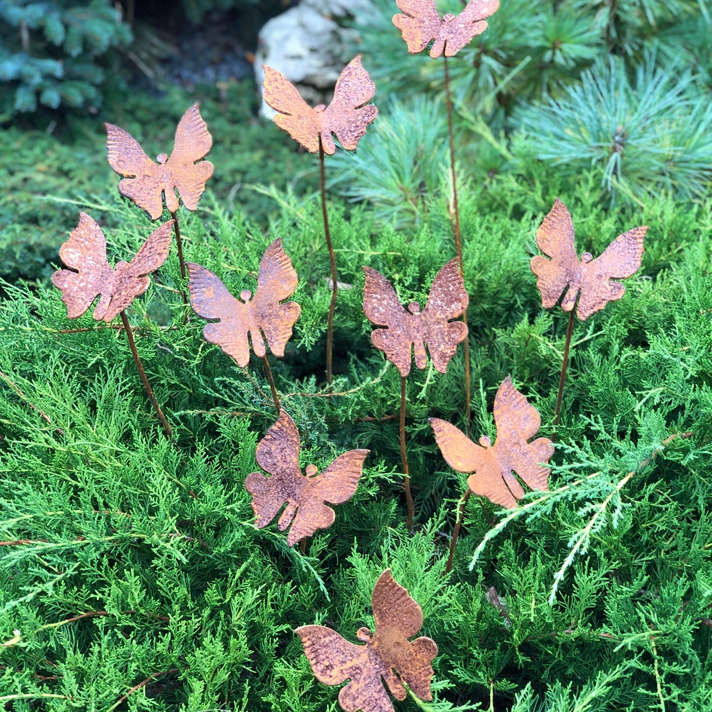 Rusty butterflies set of 10, 10 Rusty butterflies garden stakes, Metal garden decor, metal yard art, outdoor metal decor