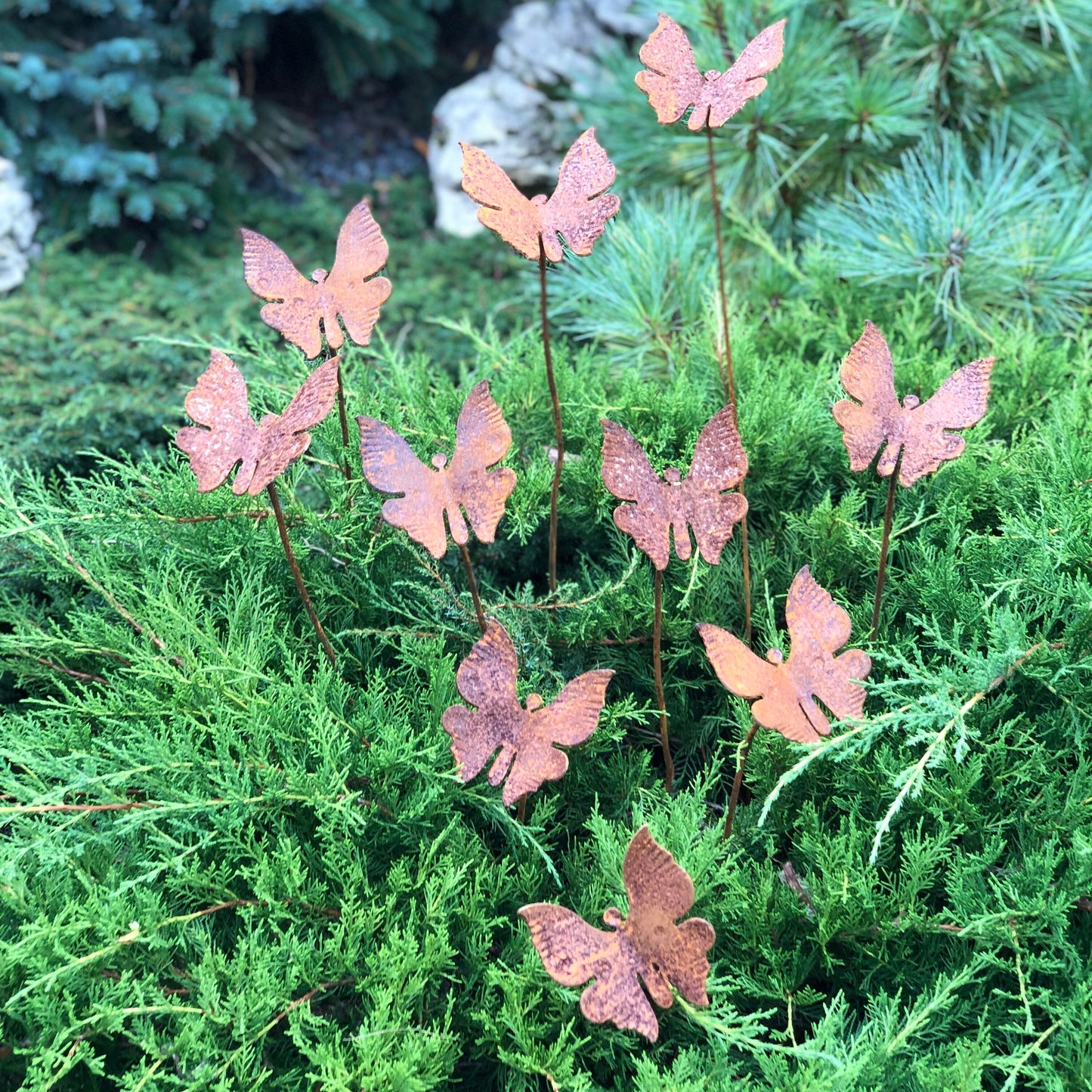 Rusty butterflies set of 10, 10 Rusty butterflies garden stakes, Metal garden decor, metal yard art, outdoor metal decor