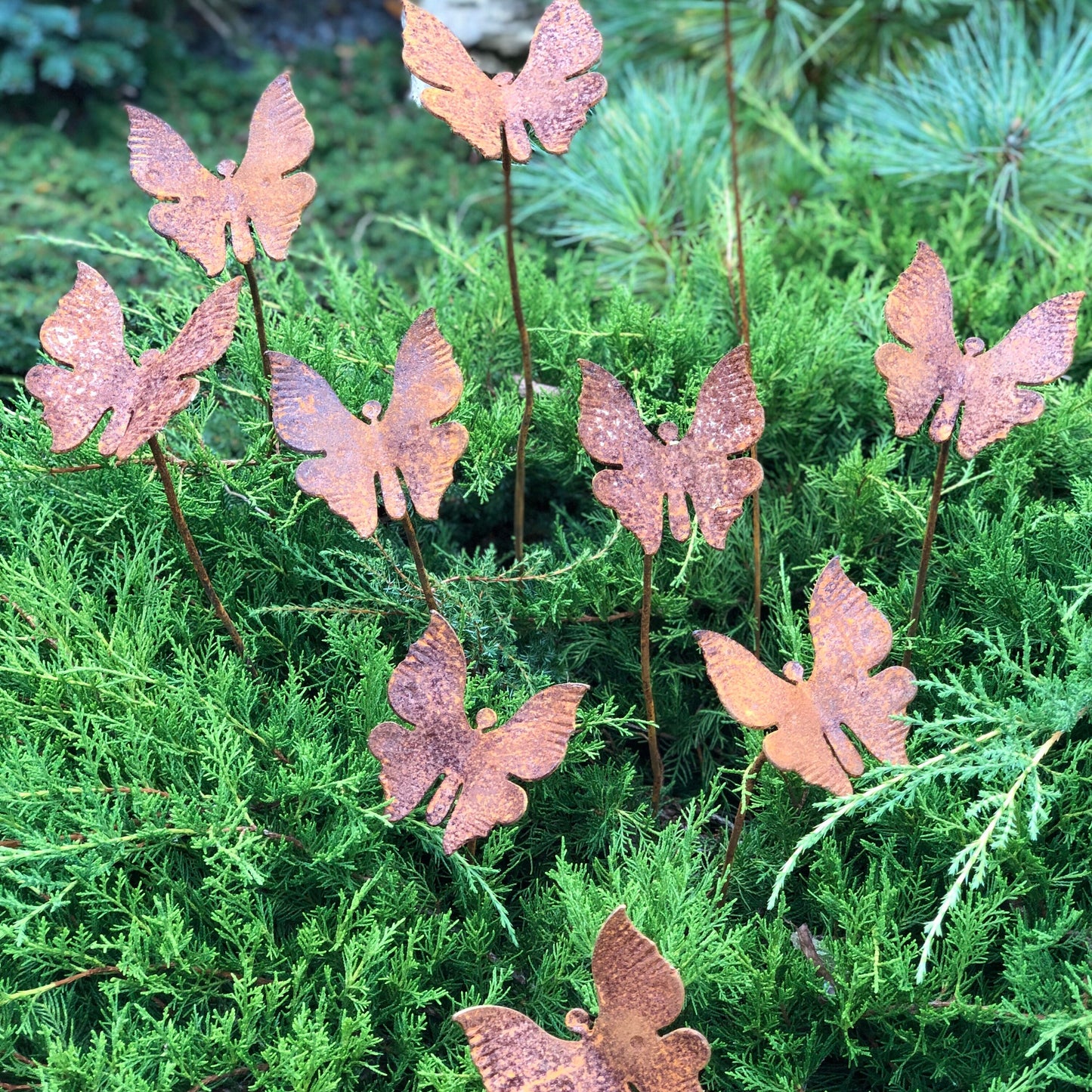 Rusty butterflies set of 10, 10 Rusty butterflies garden stakes, Metal garden decor, metal yard art, outdoor metal decor