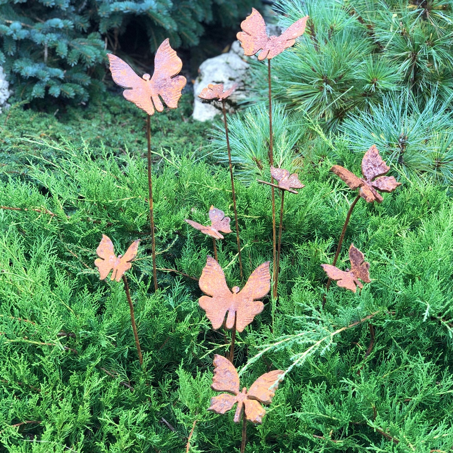 Rusty butterflies set of 10, 10 Rusty butterflies garden stakes, Metal garden decor, metal yard art, outdoor metal decor, gift for gardener