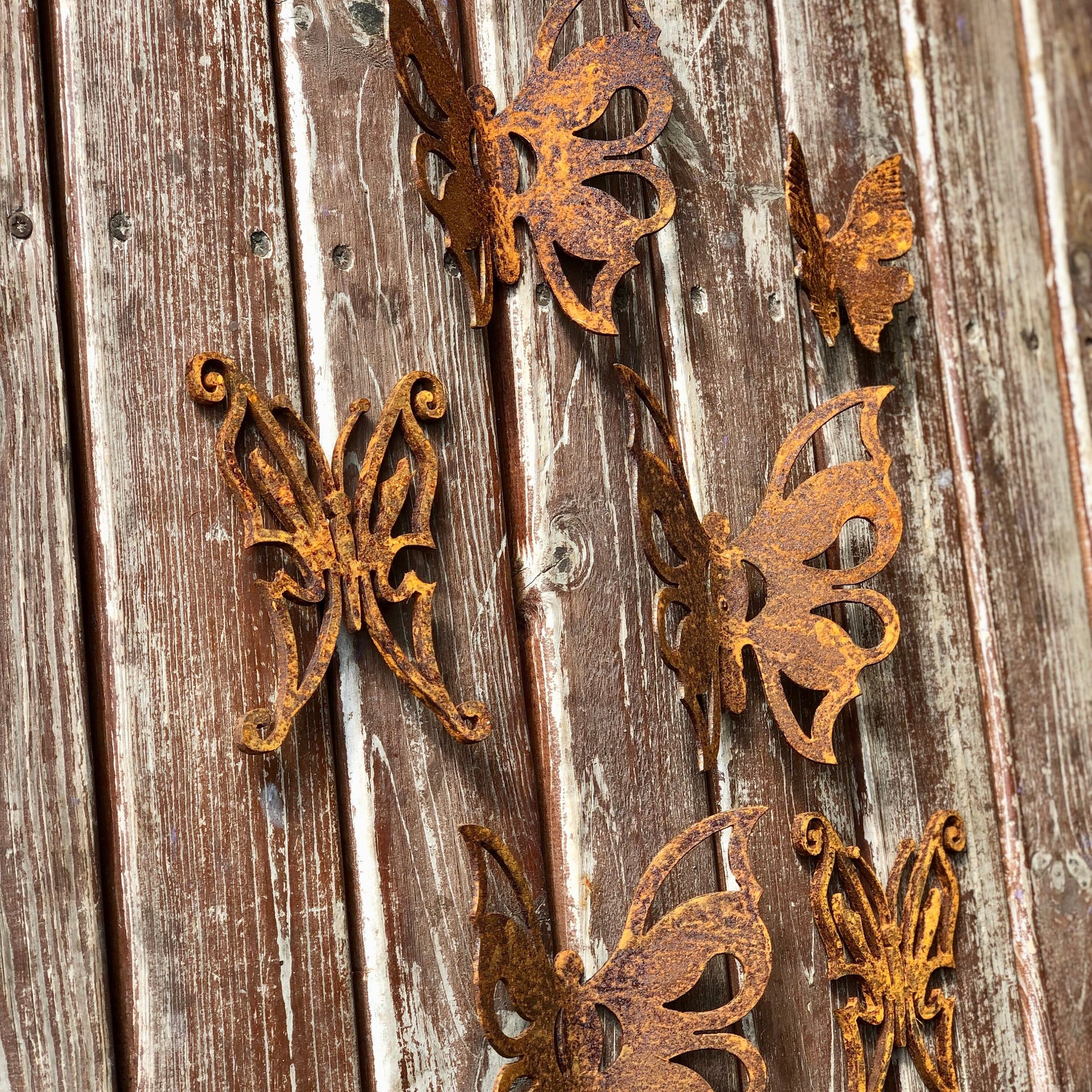 Wall rusty butterfly, Rusty metal wall decor, Boho wall art, Fairy garden, Butterfly art