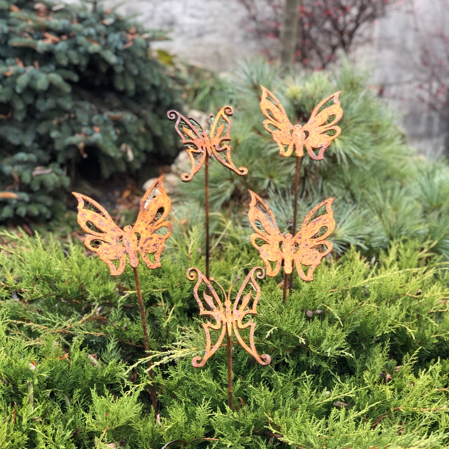 Rusty butterflies set of 5, Garden stakes, Metal garden decor, Garden art