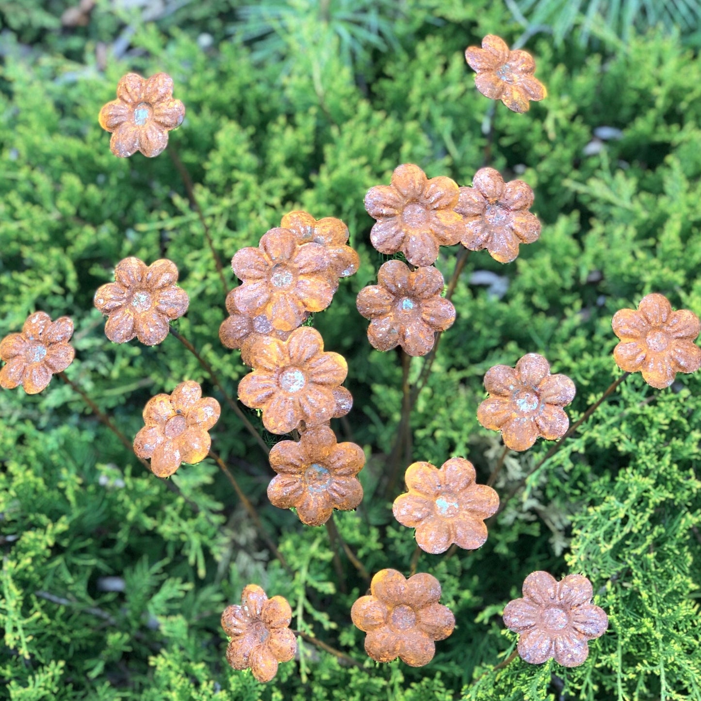 Rusty flowers set of 20, 20 Rusty flowers garden stakes, Metal garden decor, metal yard art, outdoor metal decor, Rusty metal garden decor