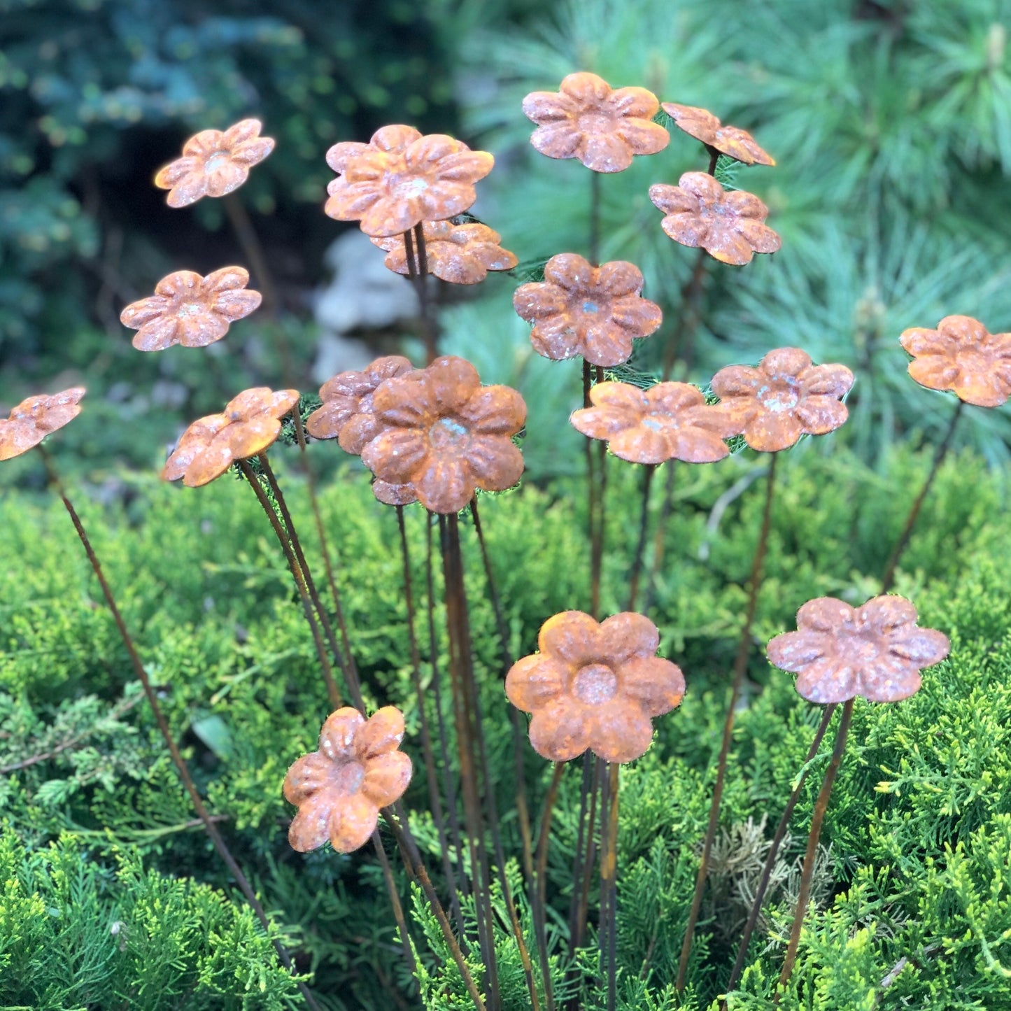 Rusty flowers set of 20, 20 Rusty flowers garden stakes, Metal garden decor, metal yard art, outdoor metal decor, Rusty metal garden decor