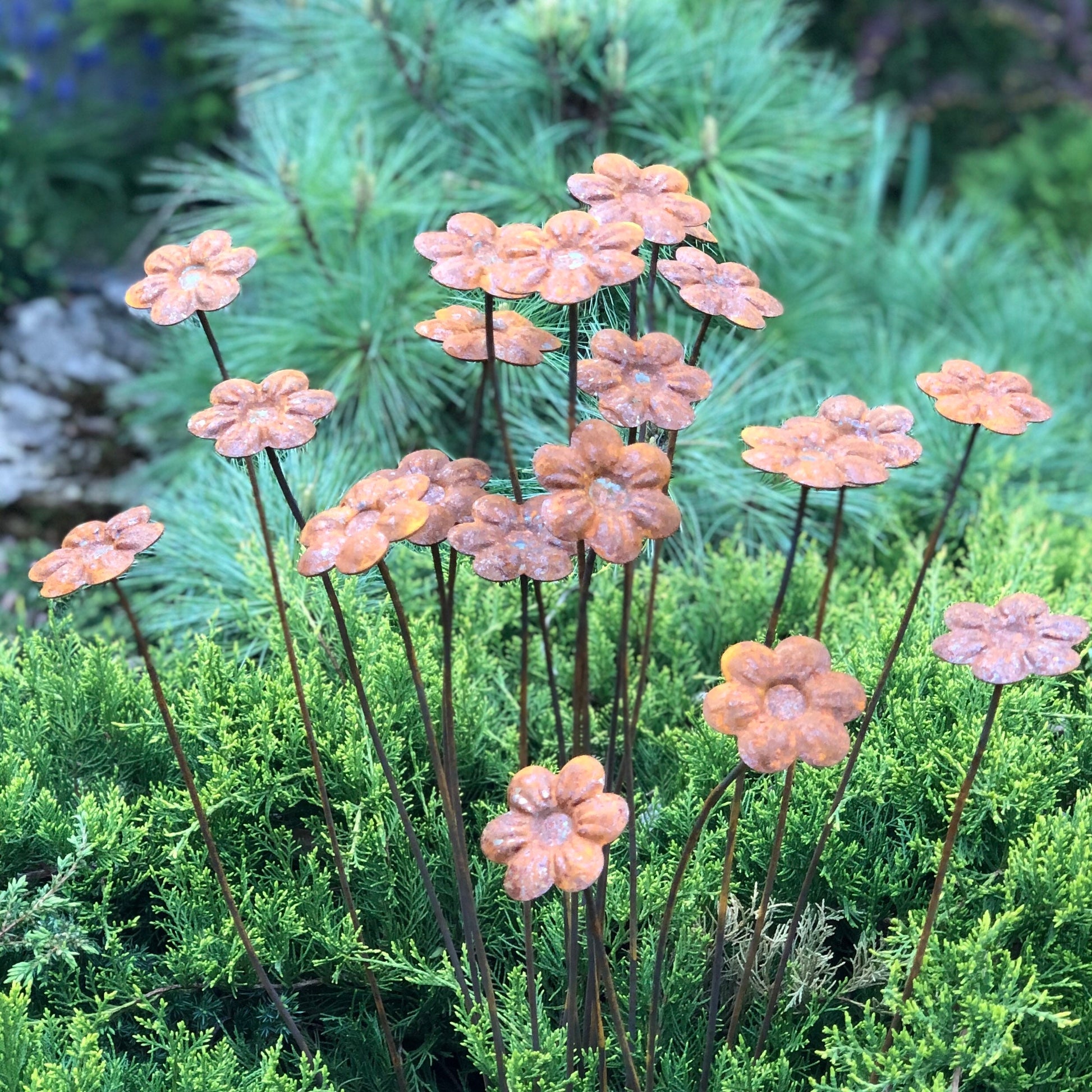 Rusty flowers set of 20, 20 Rusty flowers garden stakes, Metal garden decor, metal yard art, outdoor metal decor, Rusty metal garden decor