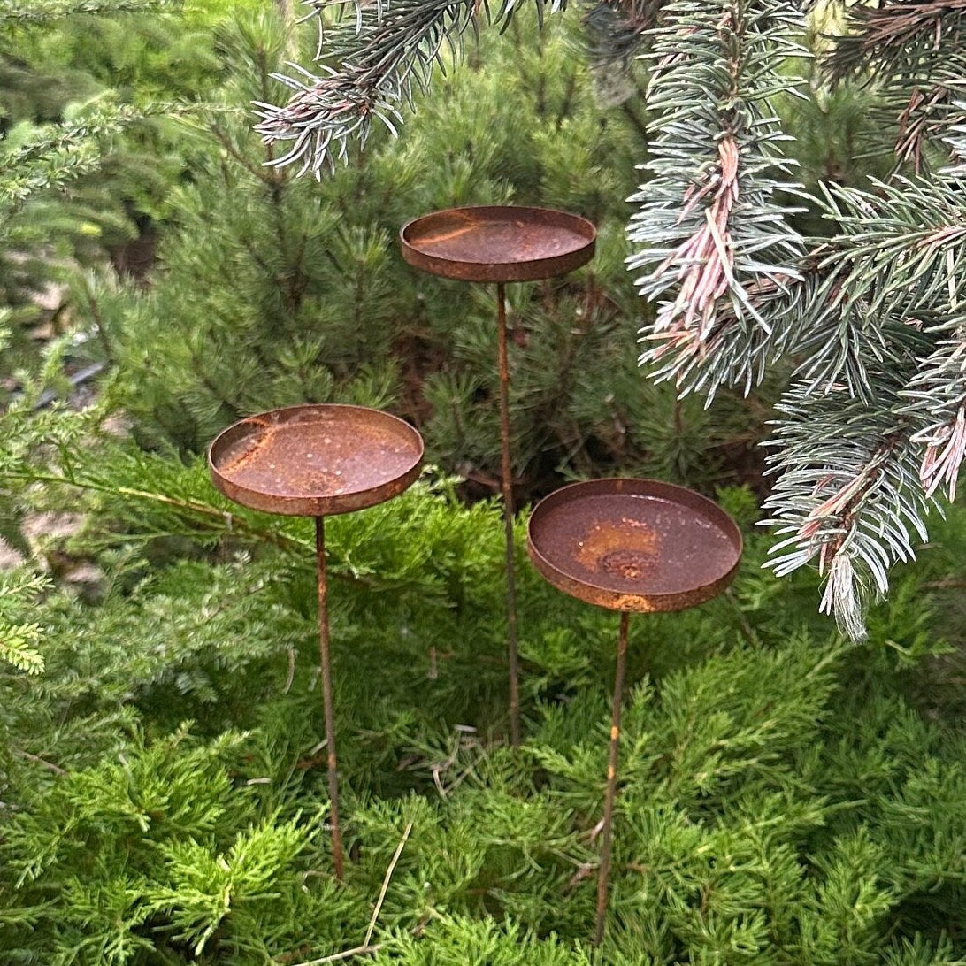 Rusty flower garden stakes, Metal rain catchers, Bird bath outdoor garden decor