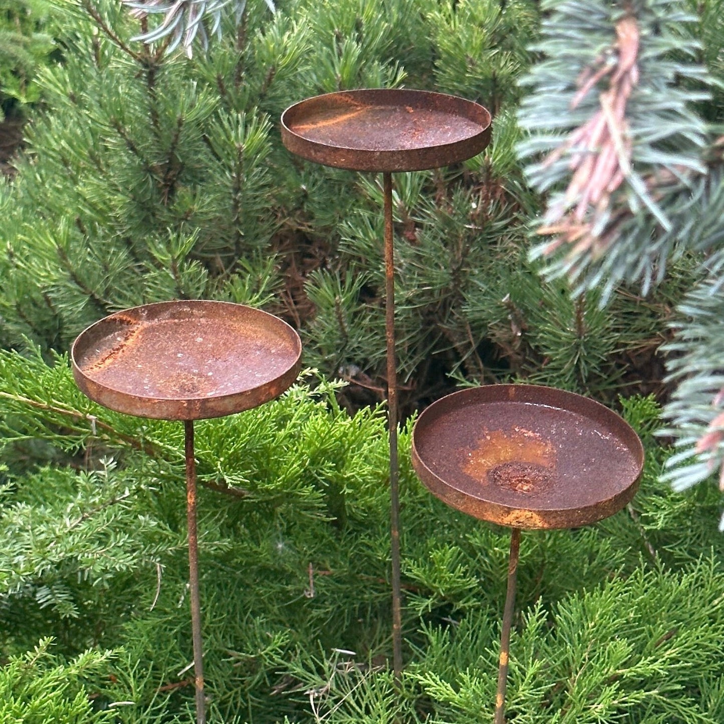 Rusty flower garden stakes, Metal rain catchers, Bird bath outdoor garden decor