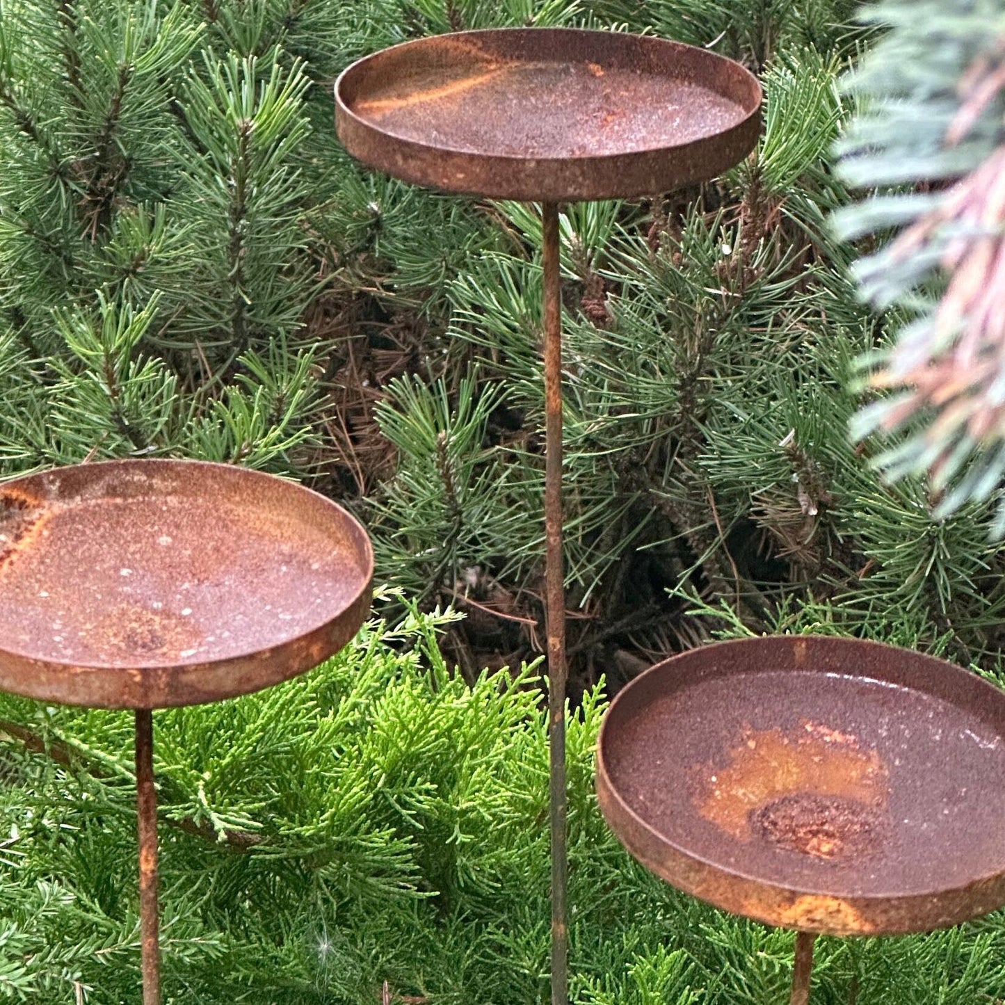 Rusty flower garden stakes, Metal rain catchers, Bird bath outdoor garden decor