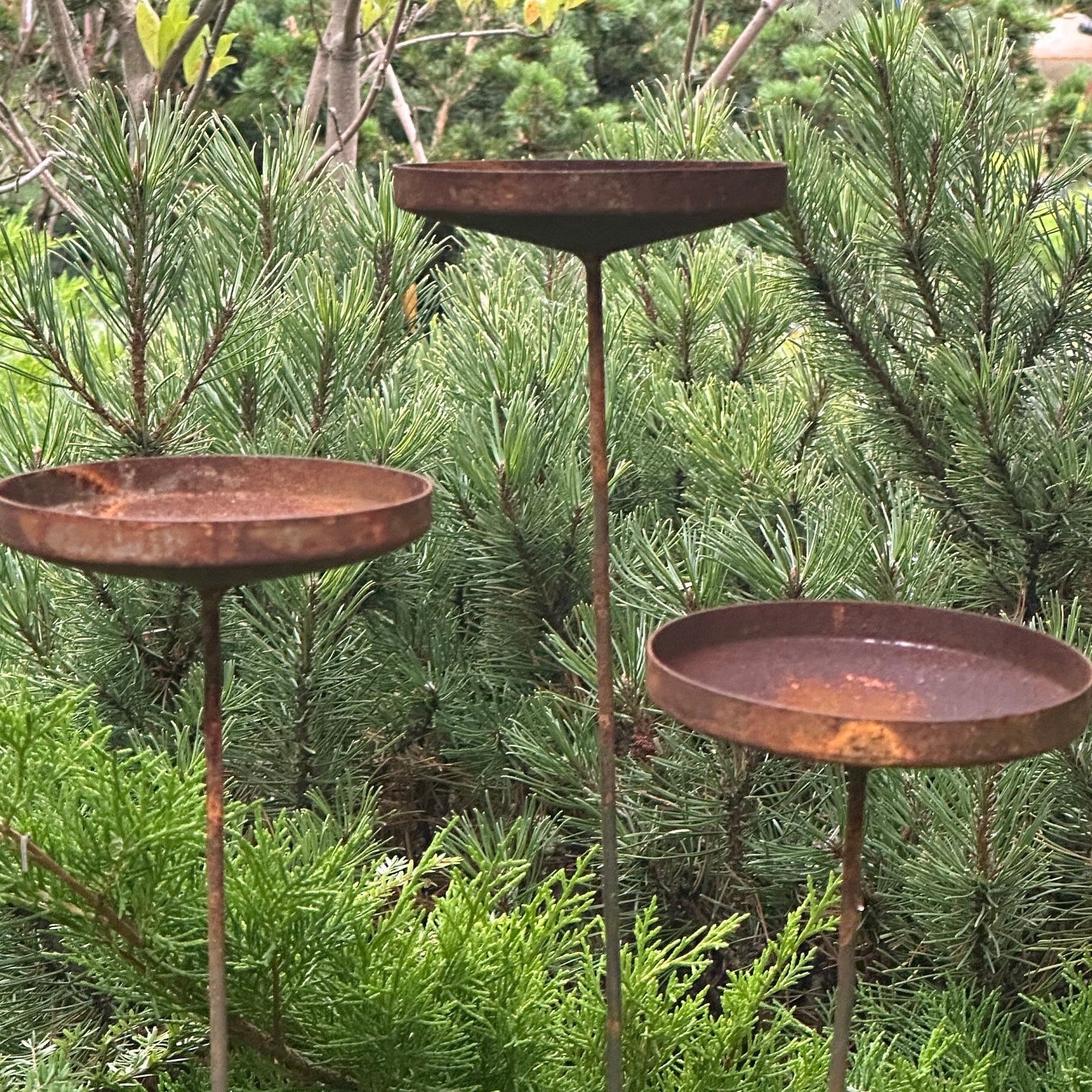 Rusty flower garden stakes, Metal rain catchers, Bird bath outdoor garden decor