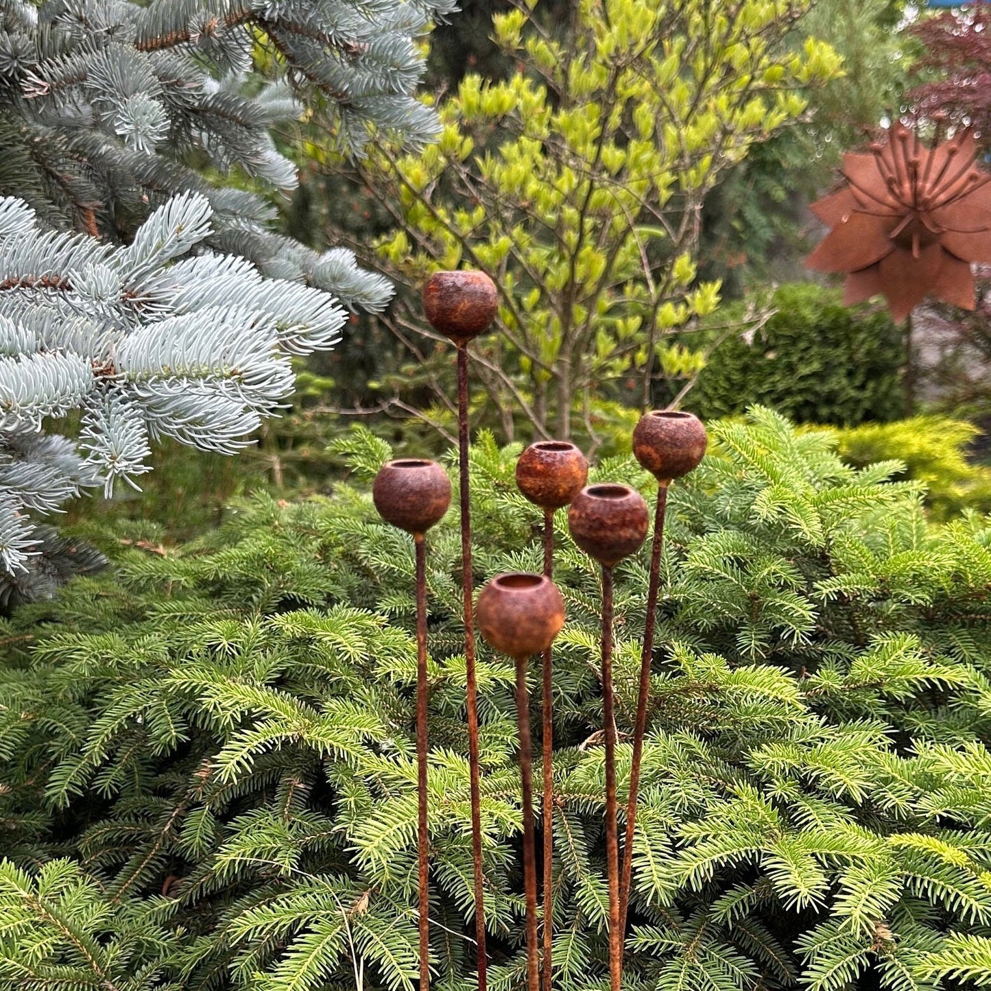 Rusty flowers set of 6, Flowers garden decor, Metal rain catchers, metal yard art, outdoor metal decor, Rusty metal garden decor