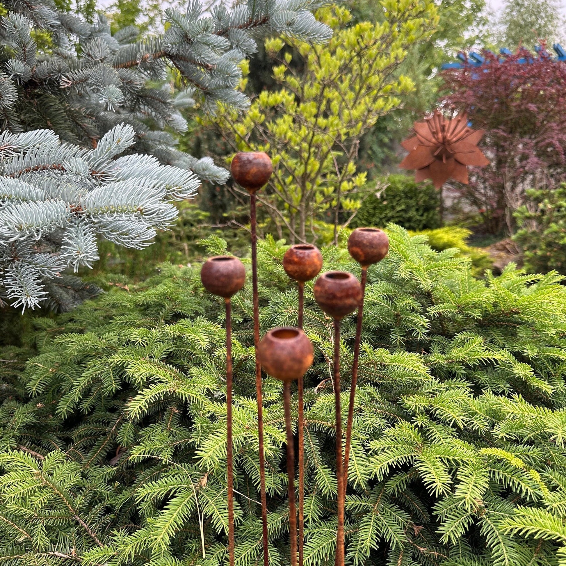 Rusty flowers set of 6, Flowers garden decor, Metal rain catchers, metal yard art, outdoor metal decor, Rusty metal garden decor