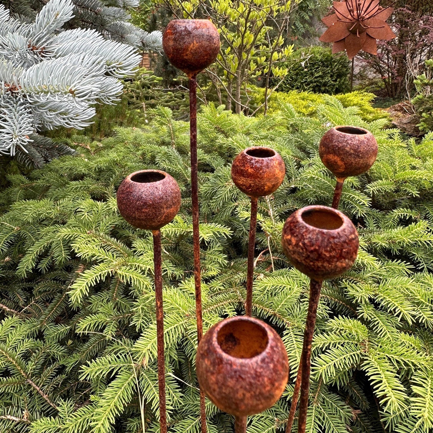 Rusty flowers set of 6, Flowers garden decor, Metal rain catchers, metal yard art, outdoor metal decor, Rusty metal garden decor