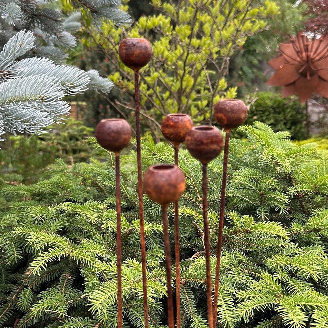 Rusty flowers set of 6, Flowers garden decor, Metal rain catchers, metal yard art, outdoor metal decor, Rusty metal garden decor