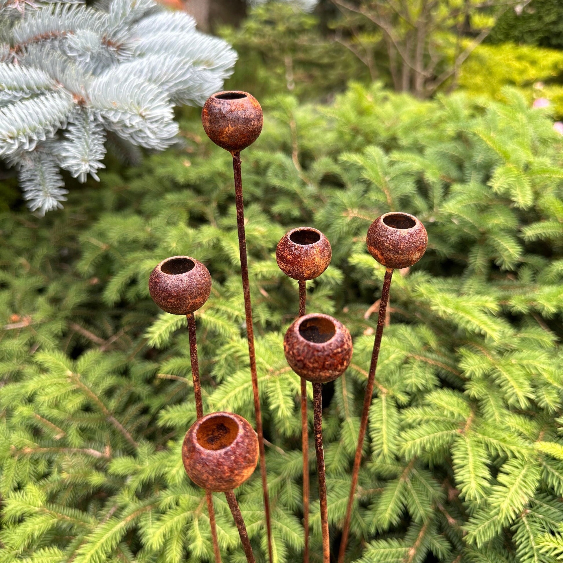 Rusty flowers set of 6, Flowers garden decor, Metal rain catchers, metal yard art, outdoor metal decor, Rusty metal garden decor