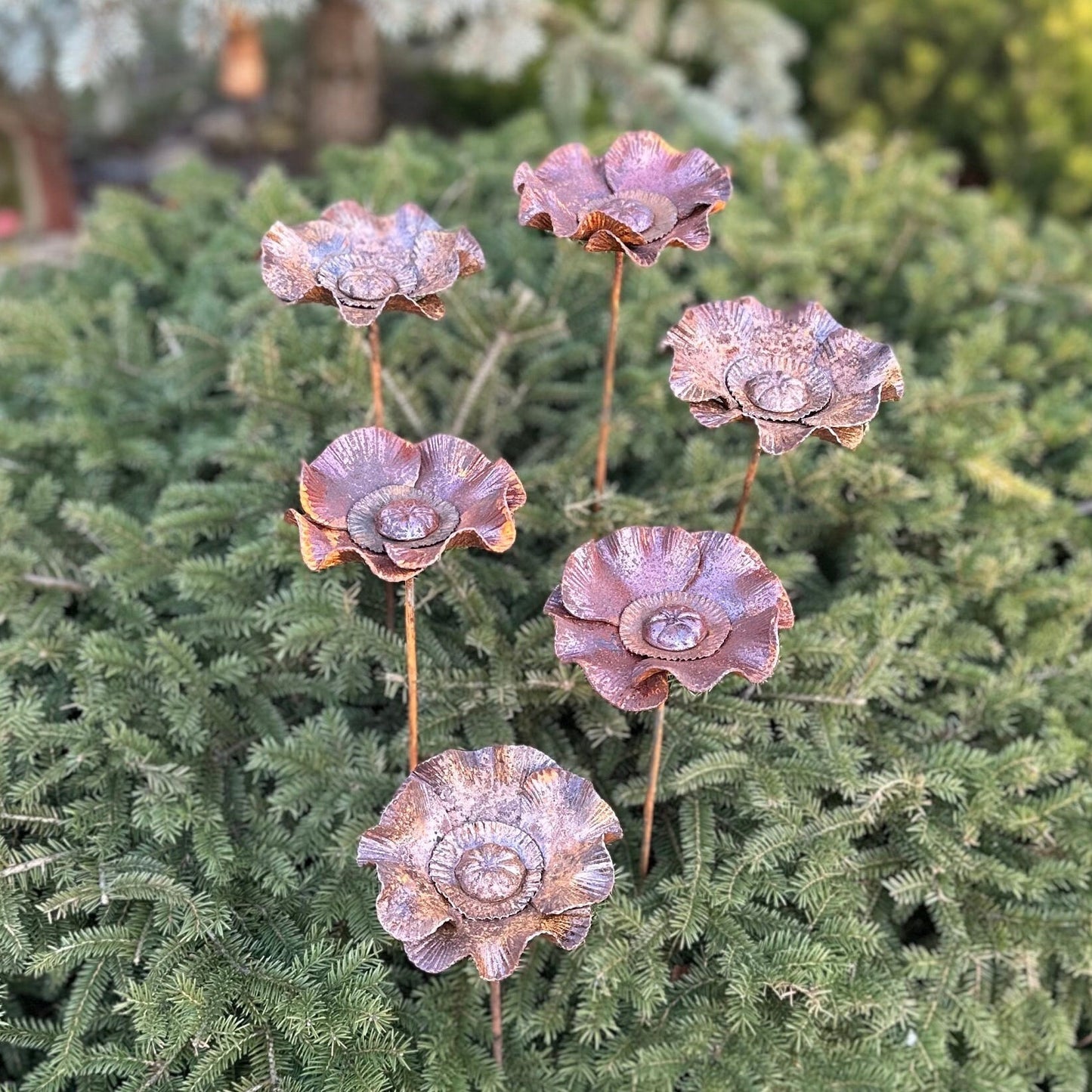 Rusty flowers set of 6, Poppy flowers garden stakes, Metal garden decor, metal yard art, outdoor metal decor, Rusty metal garden decor